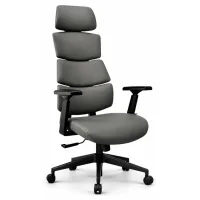 Sfera Grey Professional office chair