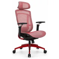 Astra Red Professional office chair