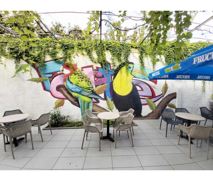 Center mladih Koper CMK