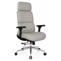 Elon Beige Professional office chair
