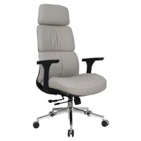 Elon Beige Professional office chair