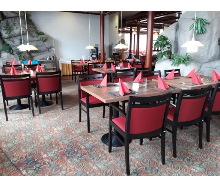 HOTEL TOPLICE - Terme Čatež