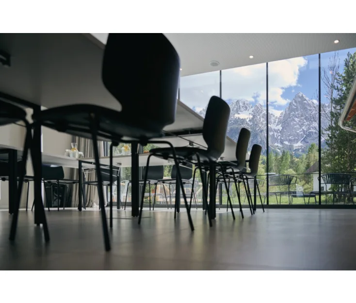 PENZION ŠPIK - GOZD MARTULJEK