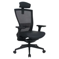 Orbit Black Professional office chair